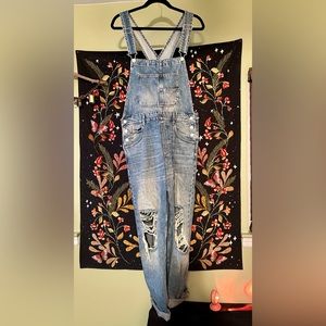 We the free ziggy denim overalls